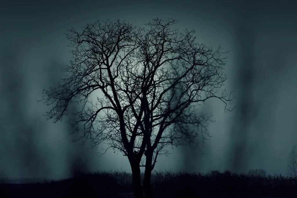 trees 407256