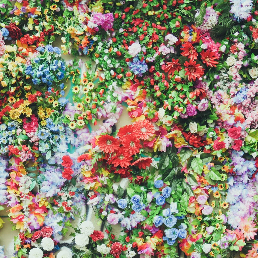 flowers