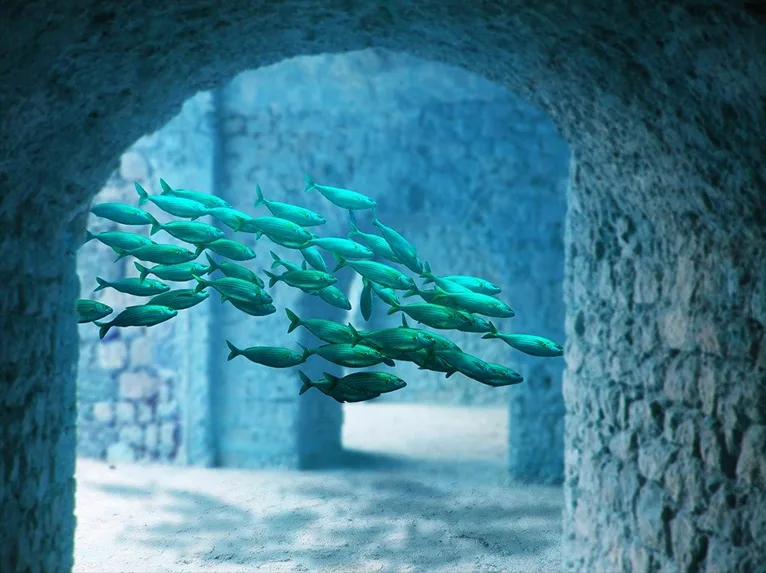 ocean floor