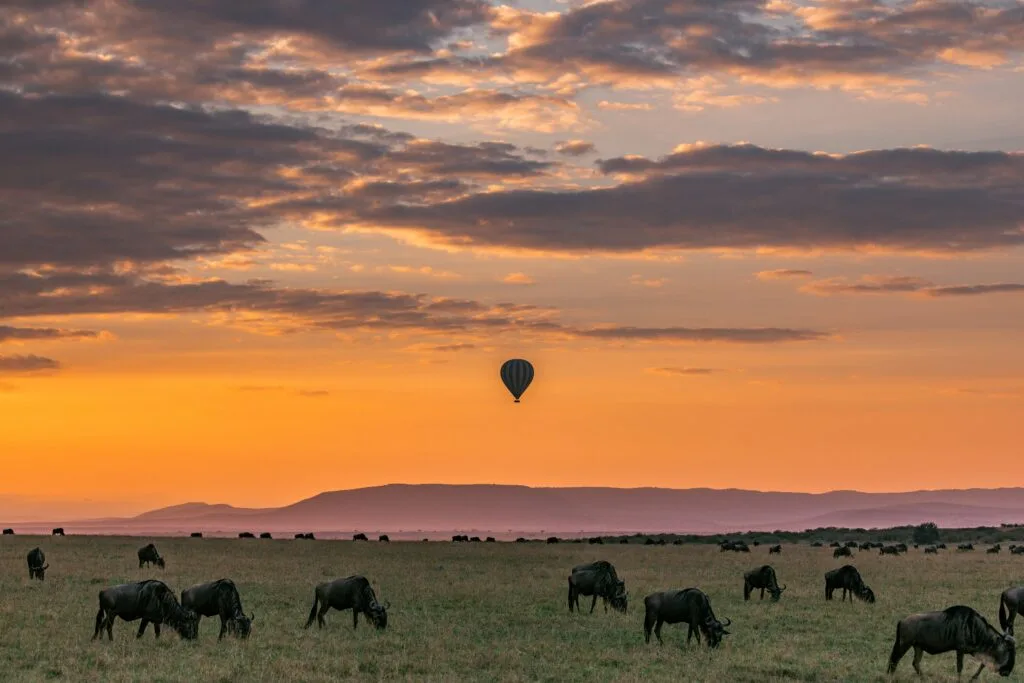 tanzania 2