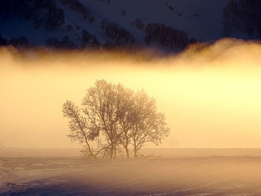 sunrise 1